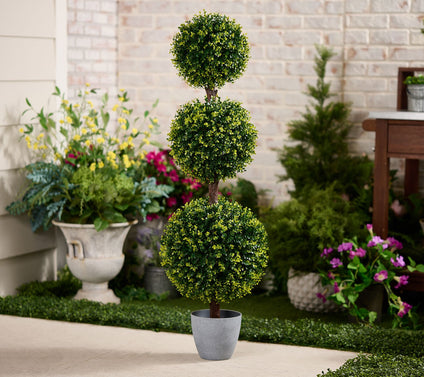 "As Is" Wicker Park 48" 3-Sphere Long Boxwood Topiary Tree with Pot