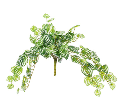 Vickerman 25" Watermelon Peperomia Bush UV