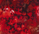 Thumbnail 20