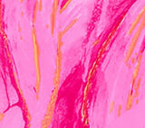 Thumbnail 16