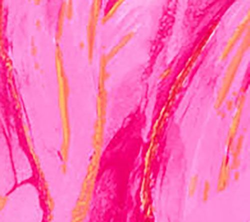 Susan Graver Print or Solid Liquid Knit Fit & Flare Dress — View 16