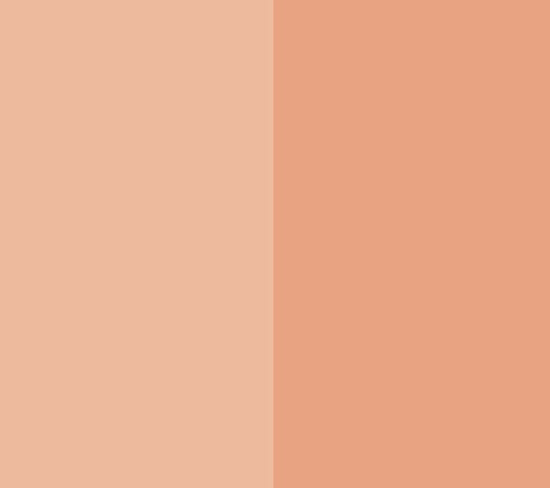 EVE PEARL Dual Salmon Concealer & 202 Blender Brush — View 10