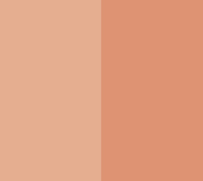 EVE PEARL Dual Salmon Concealer & 202 Blender Brush — View 8