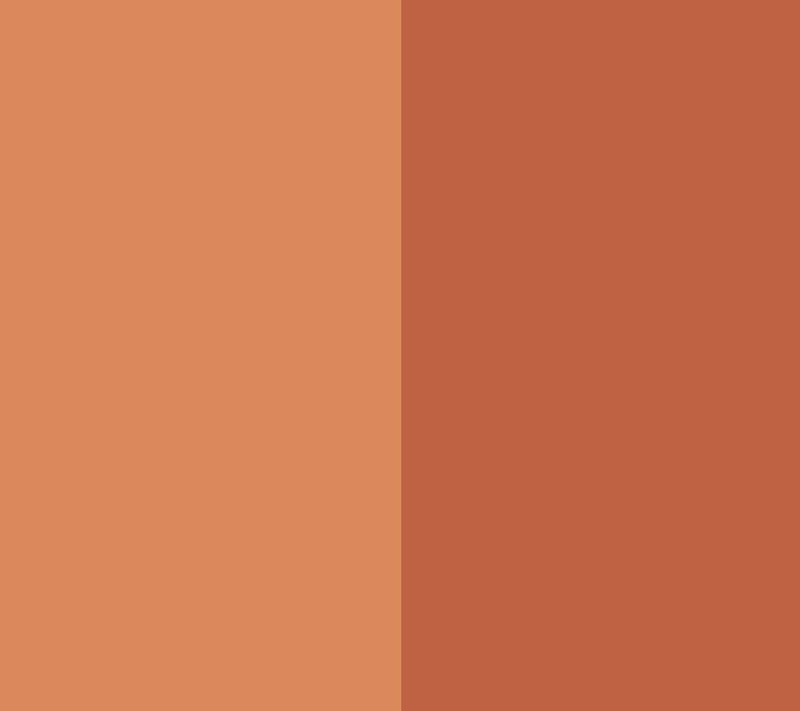 EVE PEARL Dual Salmon Concealer & 202 Blender Brush — View 4