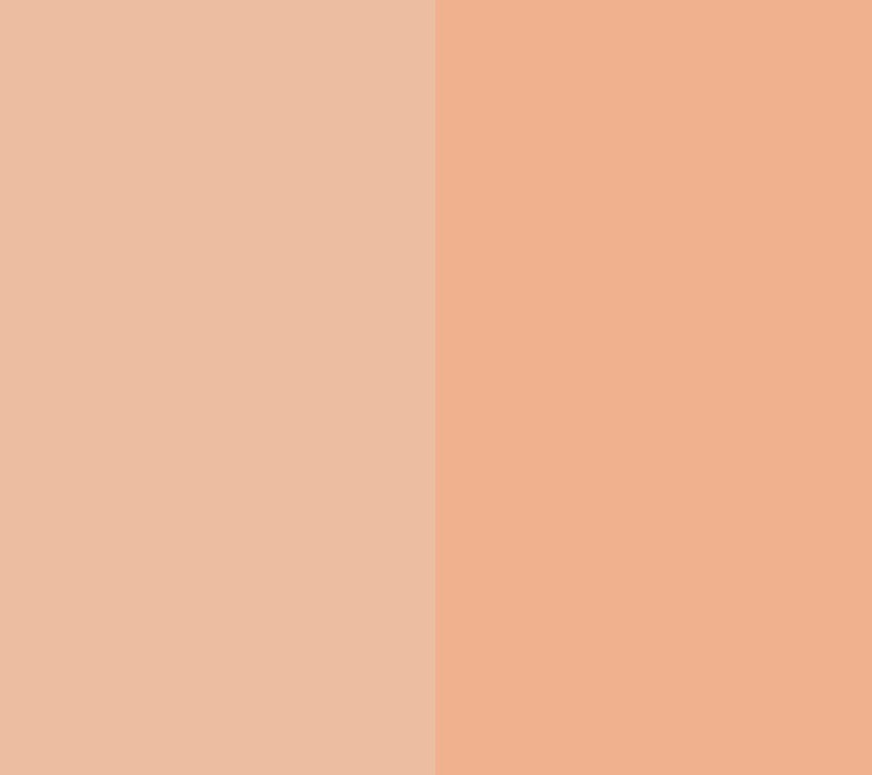 EVE PEARL Dual Salmon Concealer & 202 Blender Brush — View 12