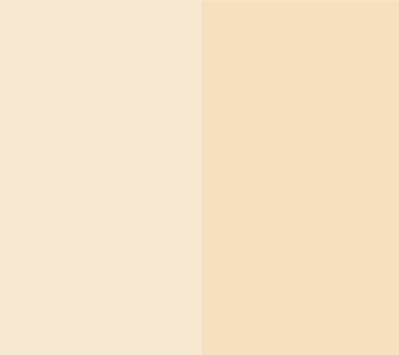 EVE PEARL HD Dual Foundation & 201 Contour B lender Brush — View 2