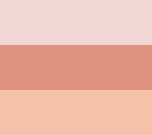 EVE PEARL Blush Trio & Fan Highlighter Brush — View 2
