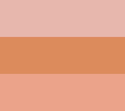 EVE PEARL Blush Trio & Fan Highlighter Brush — View 4