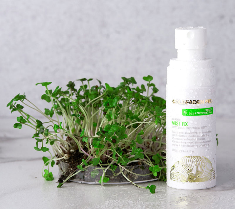 Goldfaden MD Mist RX Daily Nutrient Facial Mist — View 3