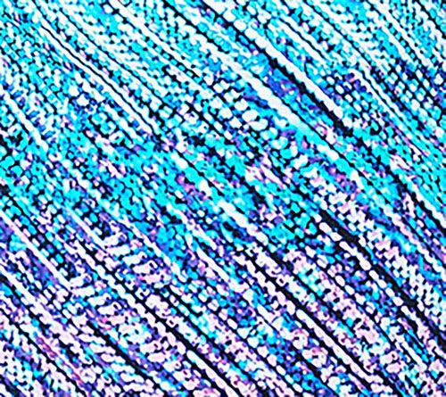 Kim Gravel x Swimsuits For All Smocked Bandeau and Shorts Set — View 10