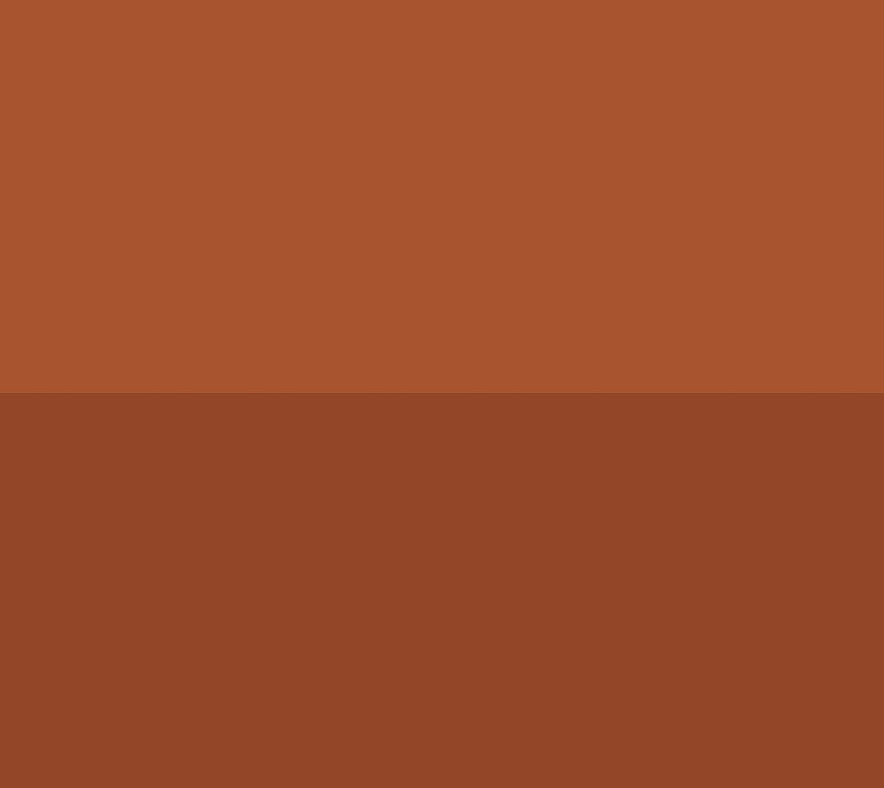 EVE PEARL Dual Salmon Concealer — View 10