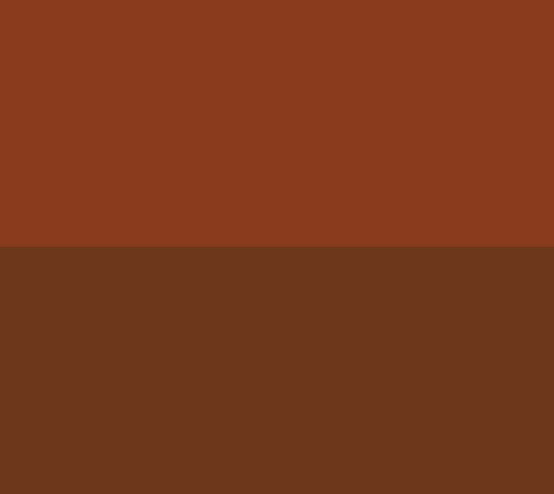 EVE PEARL Dual Salmon Concealer — View 12