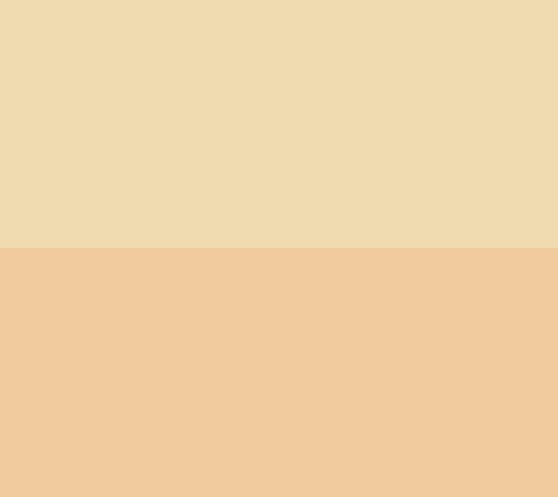 EVE PEARL 3-pc Priming Moisturizer, Dual Foundation & Brush — View 4