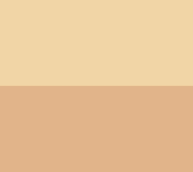 EVE PEARL 3-pc Priming Moisturizer, Dual Foundation & Brush — View 6