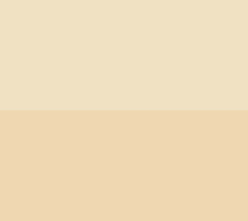 EVE PEARL 3-pc Priming Moisturizer, Dual Foundation & Brush — View 2