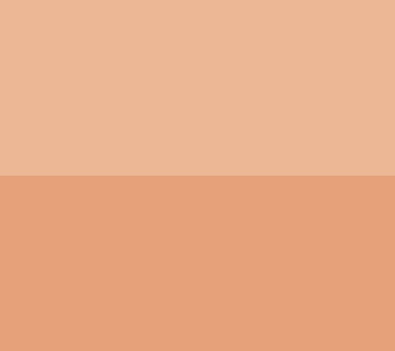 EVE PEARL Face Therapy Cream, Dual Foundation &Brush — View 4