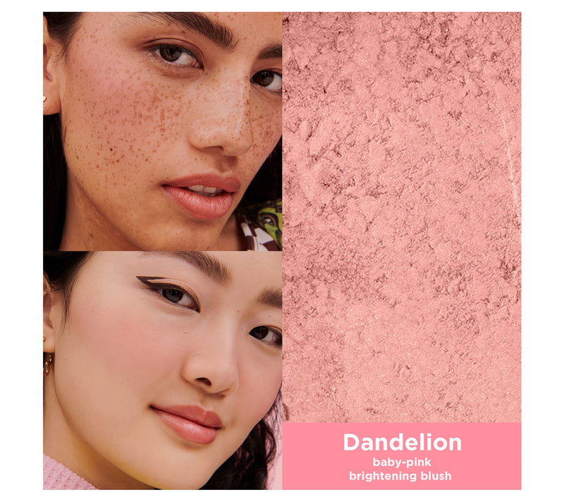 Benefit Cosmetics Dandelion Baby Pink  Blush — View 2