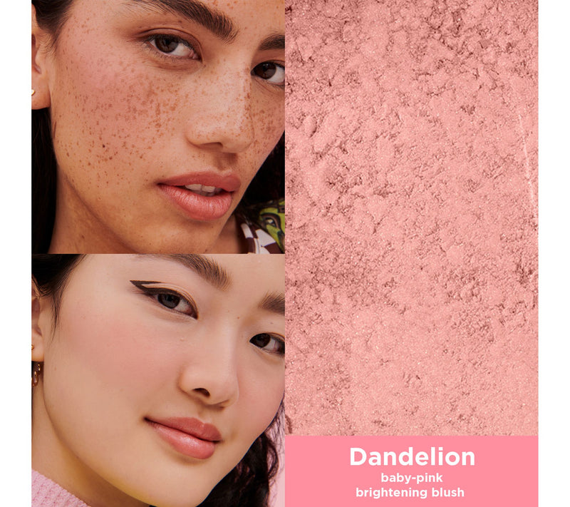 Benefit Cosmetics Dandelion Baby Pink Mini Blush — View 3