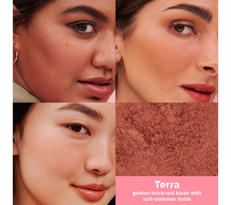 Benefit Cosmetics Terra Golden Brick-Red Blush — View 4