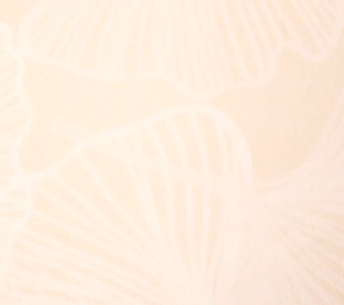 Evelyn & Bobbie Beyond Seamless Wirefree Bra — View 8