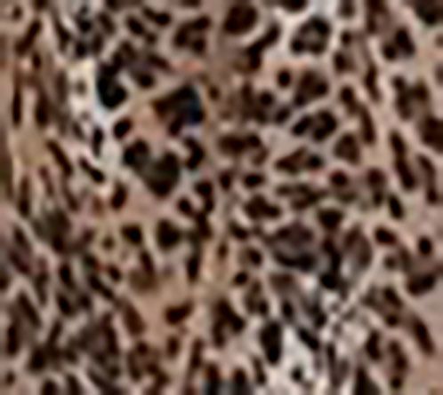 Skinnytees Animal Print Kimono — View 2