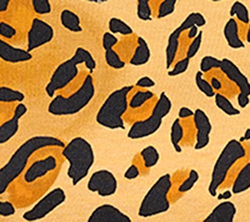 Isaac Mizrahi Live! Estate Choice of Print Cotton Mock Neck Top — View 14