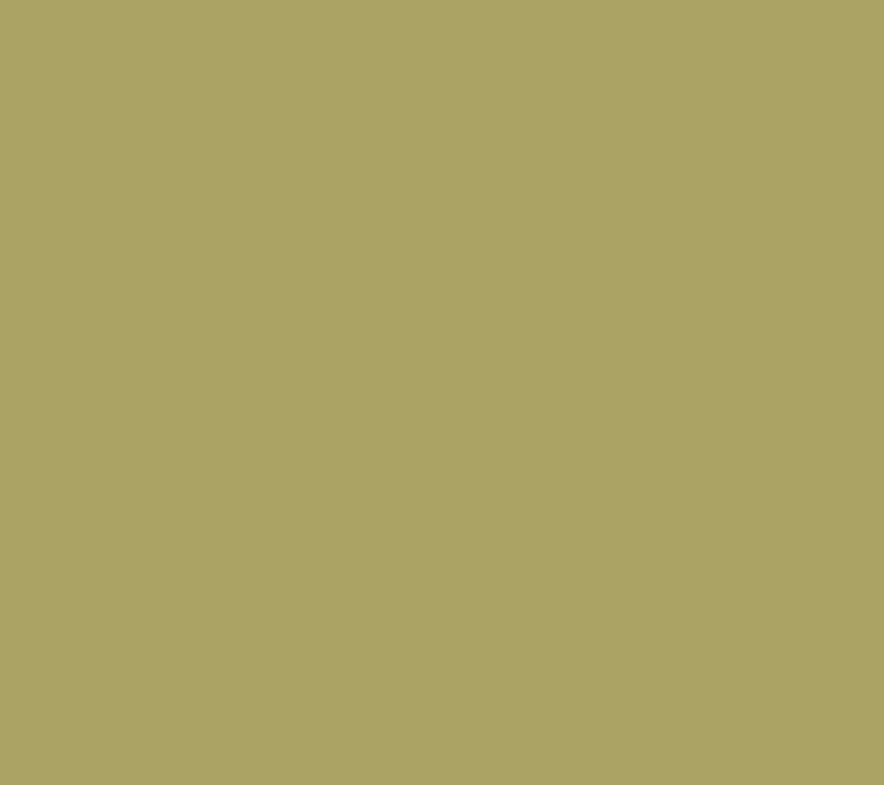 Denim & Co. Original Waist Stretch Petite Side Pocket Pants — View 30