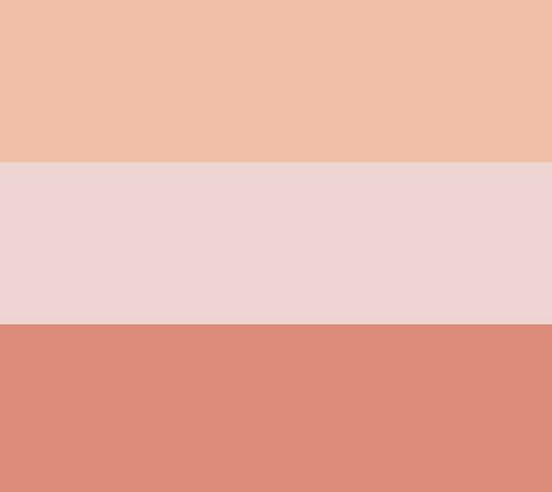 EVE PEARL Blush Trio & 204 Dual Fan Highlighter Brush — View 6