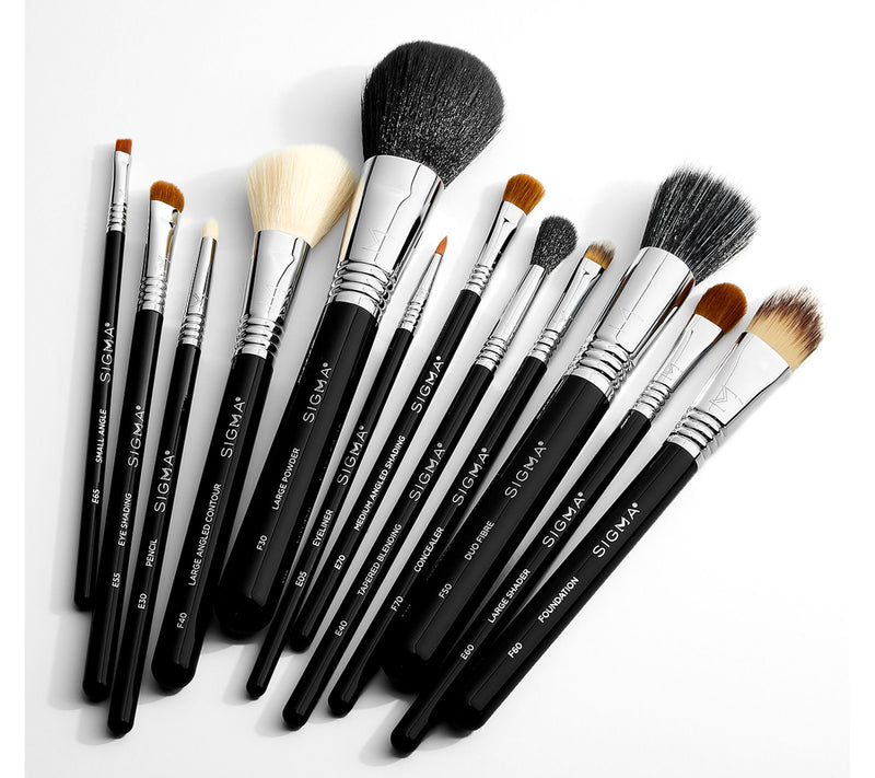 Sigma Beauty Essential Brush Set with Sigma Switch — View 6