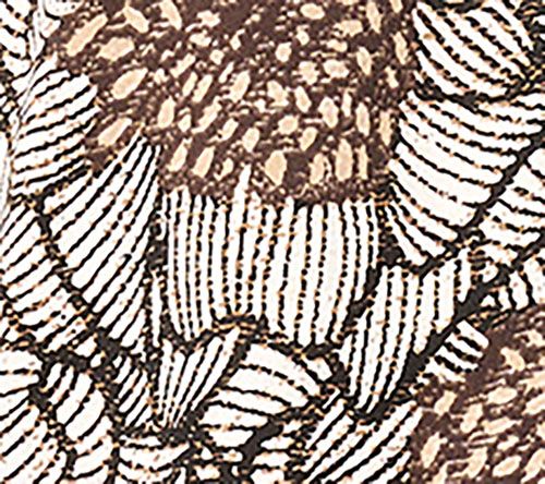 NIC+ZOE Petal Bloom Printed Top — View 7