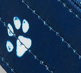 Thumbnail 22