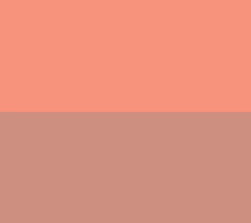 RMS Beauty Lip2Cheek Multi-Tasking Cream Color Duo — View 2