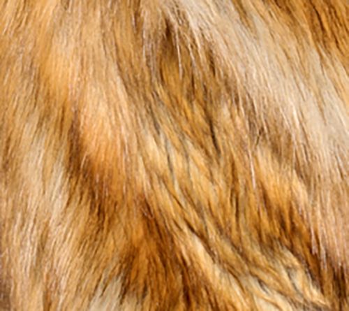 Donna Salyers Fabulous Furs Sofia Swish Faux Fur Coat — View 6