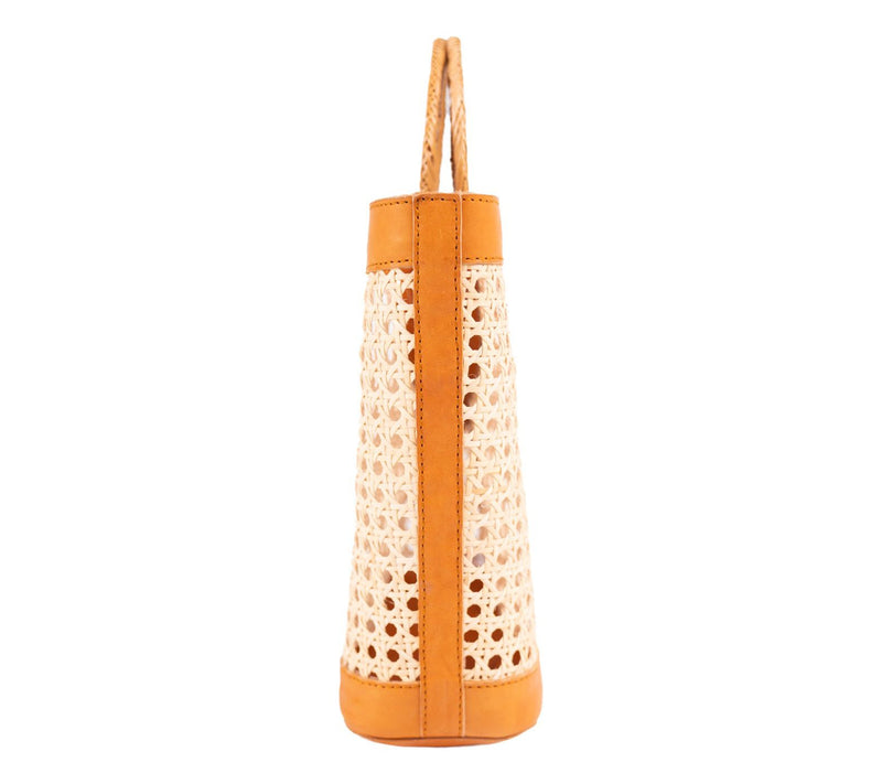 Jelavu Hilton Cane Tote Bag — View 5