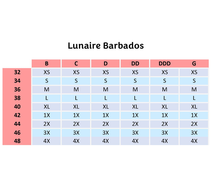 Lunaire Barbados Mesh Underwire Bra with Lace Detail — View 10