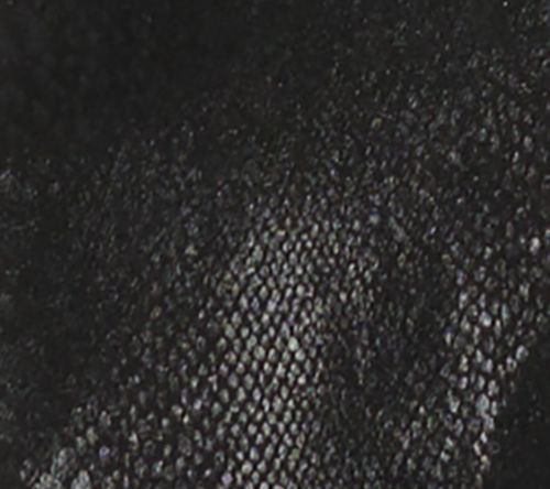 nicole by Nicole Miller Petite Coated Soho Boot-Cut Jeans - Snake — View 2
