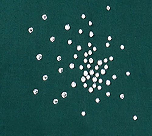 Joan Rivers Red Carpet Stretch Cotton Starburst Stone Button Front — View 9