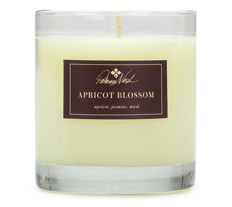 Patricia Nash Single Wick Fragranced 8oz Candle — Main view