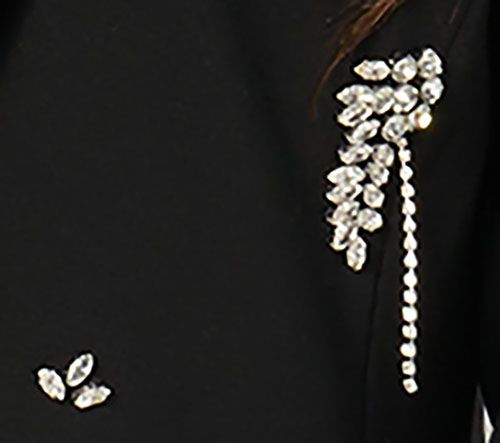 GRAVER Susan Graver Embellished Ponte Shawl Collar Blazer — View 4