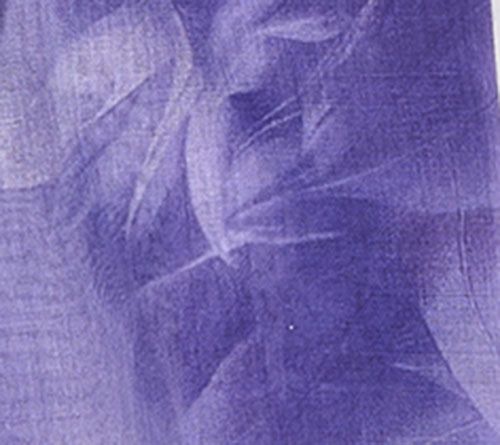 Women with Control Feather Printed Scarf — View 4