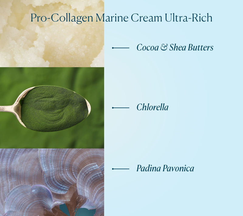 ELEMIS Pro-Collagen Marine Cream Ultra-Rich 1oz — View 2