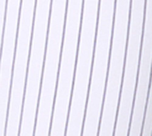 Belle by Kim Gravel Petite Harbor Island Stretch Pinstripe Pant — View 7