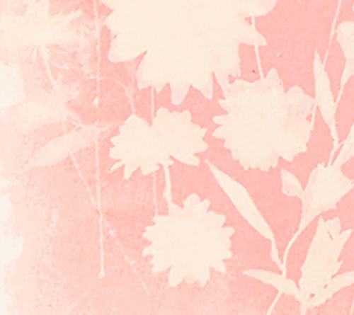 Me by Jennie Garth 100% Cotton Flower Press Graphic Tee — View 10