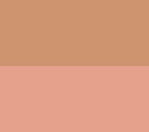 bareMinerals Gen Nude Highlighting Blush and Blonzer Duo — View 6