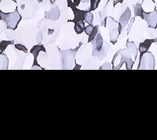 Susan Graver Set of Two Print & Solid Liquid Knit Sleeveless Tops — View 10