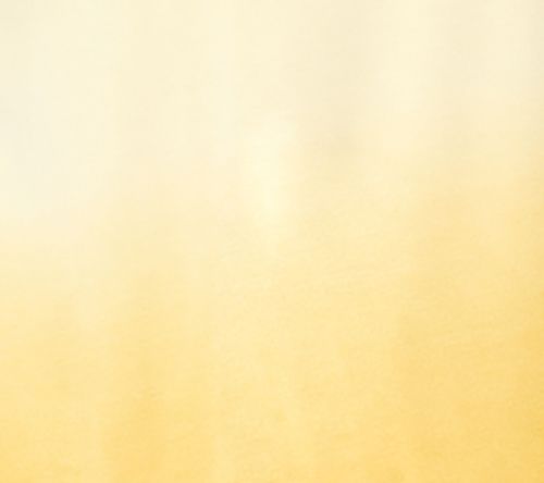 LOGO Layers by Lori Goldstein Knit Dip Dyed Tank — View 8