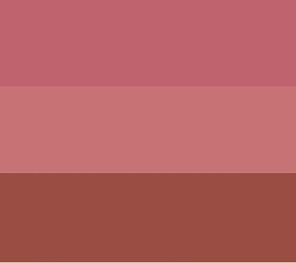 YENSA Beauty Lipstick Trio