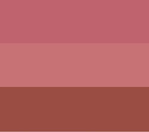 YENSA Beauty Lipstick Trio — Main view