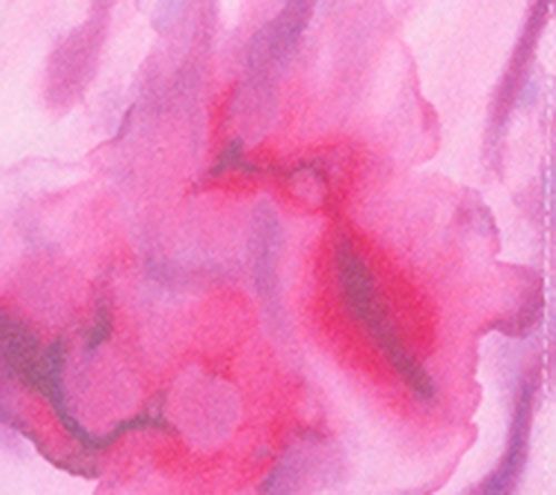 Susan Graver Printed Petite Textured Woven Button Front Duster — View 7