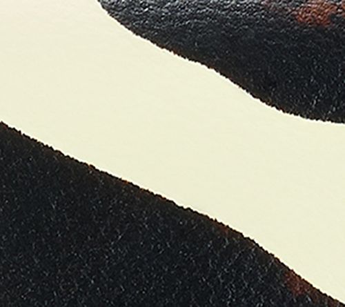 Dooney & Bourke Florentine Leather Continental Clutch — View 10